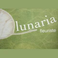 Lunaria, Diemeringen - Horaires d'ouverture