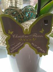 Christine Fleurs, Avesnes-les-Aubert - Horaires d'ouverture
