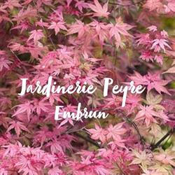 Jardinerie Peyre, Embrun - Horaires d'ouverture