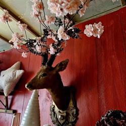 A Fleur de Pot, Colmar - Horaires d'ouverture