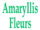 Amaryllis Fleurs, Foix - Horaires d'ouverture