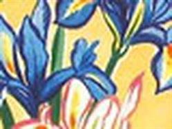 Les Floralies, Besançon - Horaires d'ouverture