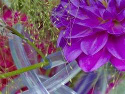 Pouchet Fleurs SARL, Marmande - Horaires d'ouverture