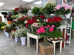 La Jardinerie, Noisy-le-Sec - Horaires d'ouverture