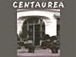 Artisan fleuriste "Centaurea", Reims - Horaires d'ouverture