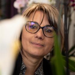 FLEURS ET CREATIONS - 33710, Pugnac - Horaires d'ouverture