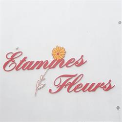 Etamines Fleurs, Plonéour-Lanvern - Horaires d'ouverture