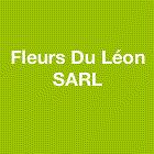 Fleurs Du Léon SAS, Plouénan - Horaires d'ouverture