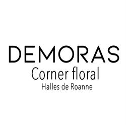 Demoras SARL, Roanne - Horaires d'ouverture