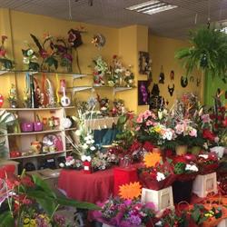 La Biche Fleurie, Saint-Gilles - Horaires d'ouverture