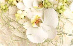 Flowers By y, Saint-Baldoph - Horaires d'ouverture