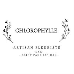 Chlorophylle, Saint-Paul-lès-Dax - Horaires d'ouverture