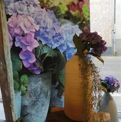 A Fleurs De Peaugres, - Horaires d'ouverture