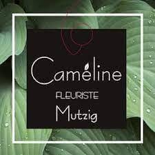 Fleurs Cameline, Mutzig - Horaires d'ouverture
