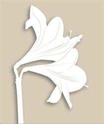 Amaryllis Fleurs, Paris - Horaires d'ouverture