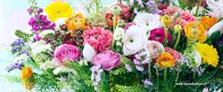 Farandole Fleurs, Voreppe - Horaires d'ouverture