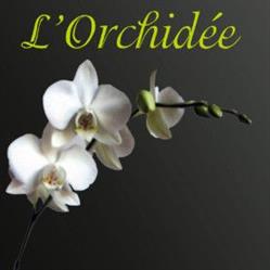 L'Orchidée, Stiring-Wendel - Horaires d'ouverture