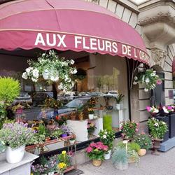 Fleurs De L'orangerie, Strasbourg - Horaires d'ouverture