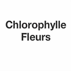 Fleurs Chlorophylle, Thann - Horaires d'ouverture