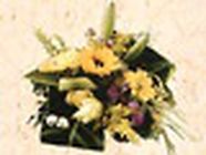 Floralies Selloises, Selles-sur-Cher - Horaires d'ouverture