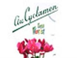 Au Cyclamen, Sens - Horaires d'ouverture