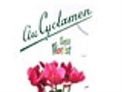 Au Cyclamen, Sens - Horaires d'ouverture