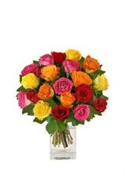 Amarante Fleurs, Toucy - Horaires d'ouverture