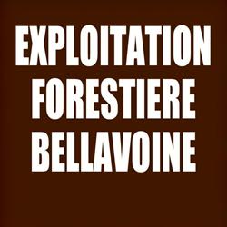Bellavoine Jean-Michel, Abbeville - Horaires d'ouverture