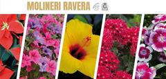 Ravera Michel, Saint-Laurent-du-Var - Horaires d'ouverture