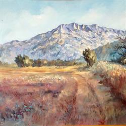 Amis des Arts, Aix-en-Provence - Horaires d'ouverture
