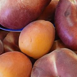 La passion du fruit, Montmartin-sur-Mer - Horaires d'ouverture