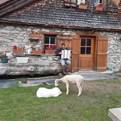Alpage de Neuvaz-Ferme du Noyer, Saint-Paul-en-Chablais - Horaires d'ouverture