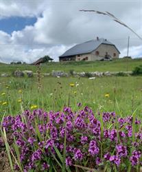 Ferme De Retord, Billiat - Horaires d'ouverture