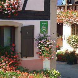 Burger Georges Earl, Dingsheim - Horaires d'ouverture