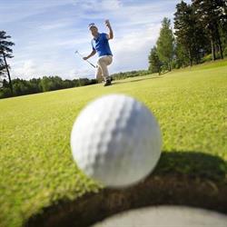 Golf Club de Sully Sur Loire, Viglain - Horaires d'ouverture