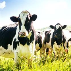 Diff'agri, Hâcourt - Horaires d'ouverture