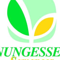 Nungesser Semences, Erstein - Horaires d'ouverture