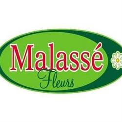 Malassé Fleurs Earl, Metz - Horaires d'ouverture