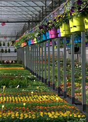 Fayolle Horticulture, La Talaudière - Horaires d'ouverture