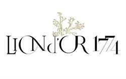 Grand Hôtel du Lion D'Or, Romorantin-Lanthenay - Horaires d'ouverture
