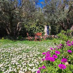 L'Olivette, Roquebrune-sur-Argens - Horaires d'ouverture