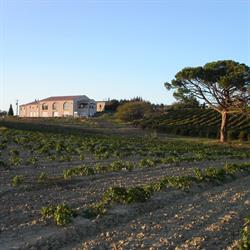 Domaine de Cazes, Alaigne - Horaires d'ouverture