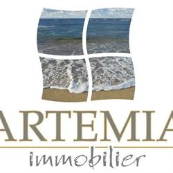 Artemia Immobilier, Arcachon - Horaires d'ouverture