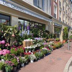 Jardinerie De Chatou, - Horaires d'ouverture