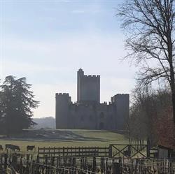 Château Roquetaillade La Grange, Mazères - Horaires d'ouverture