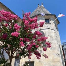 Mairie, Nieulle-sur-Seudre - Horaires d'ouverture
