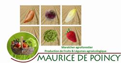 MAURICE DE POINCY, Poincy - Horaires d'ouverture