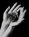 Cocci'nail, Gif-sur-Yvette - Horaires d'ouverture