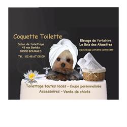 Coquette Toilette, Bourges - Horaires d'ouverture