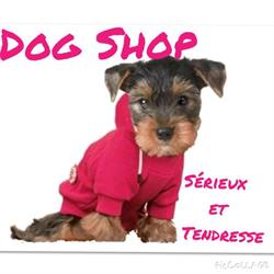 Dog Shop, Malakoff - Horaires d'ouverture